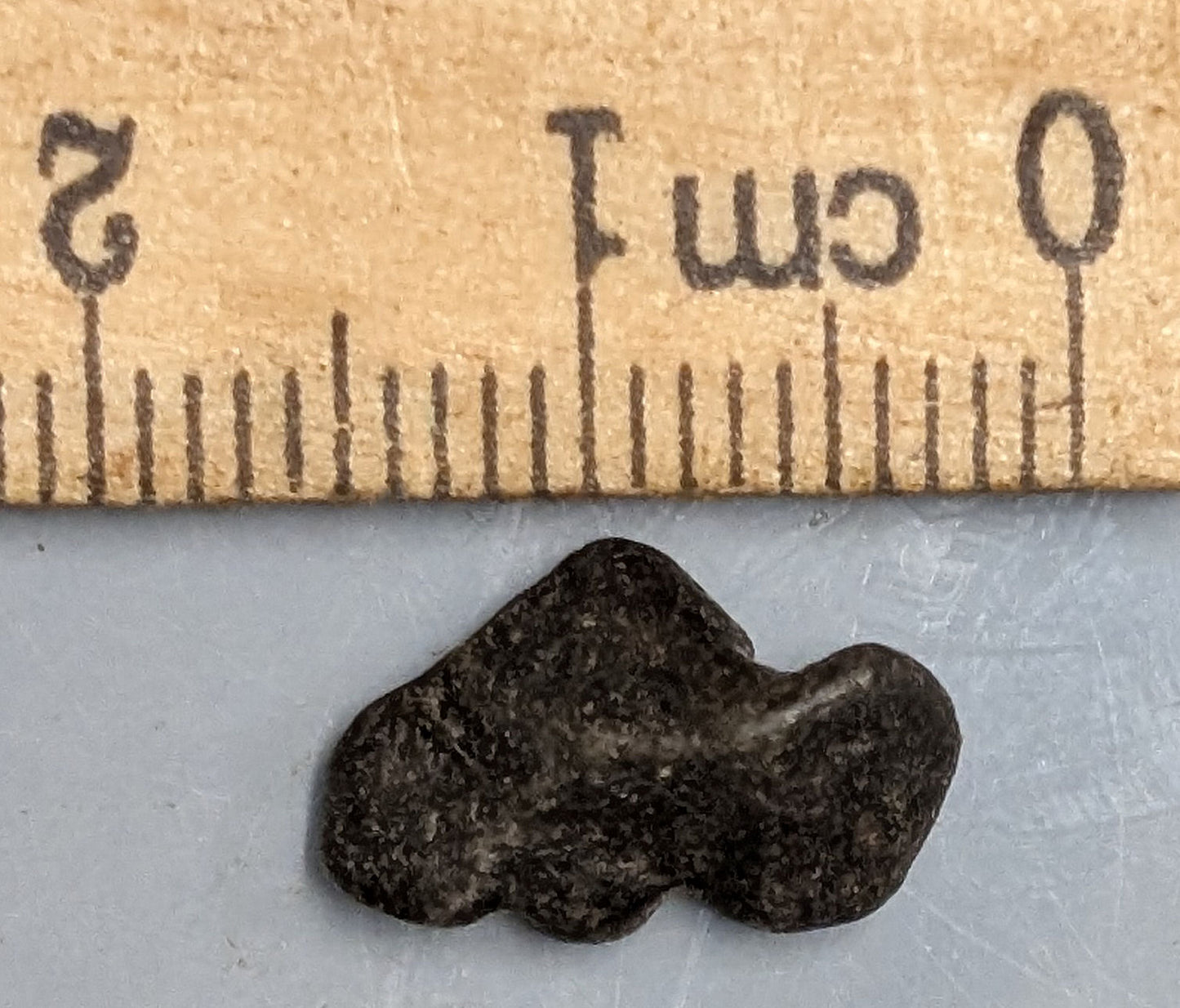 1.2 Gram AGOUDAL Imilchill IIAB Iron Meteorite found im Atlas Mountains