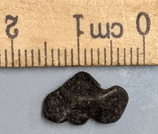 1.2 Gram AGOUDAL Imilchill IIAB Iron Meteorite found im Atlas Mountains