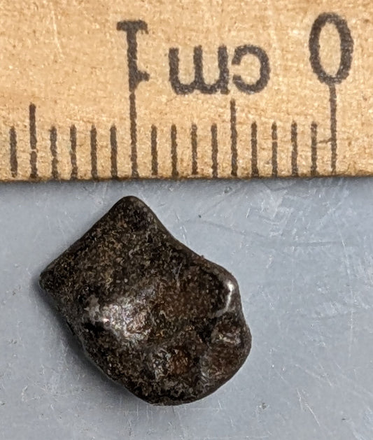 2 Gram AGOUDAL Imilchill IIAB Iron Meteorite found im Atlas Mountains