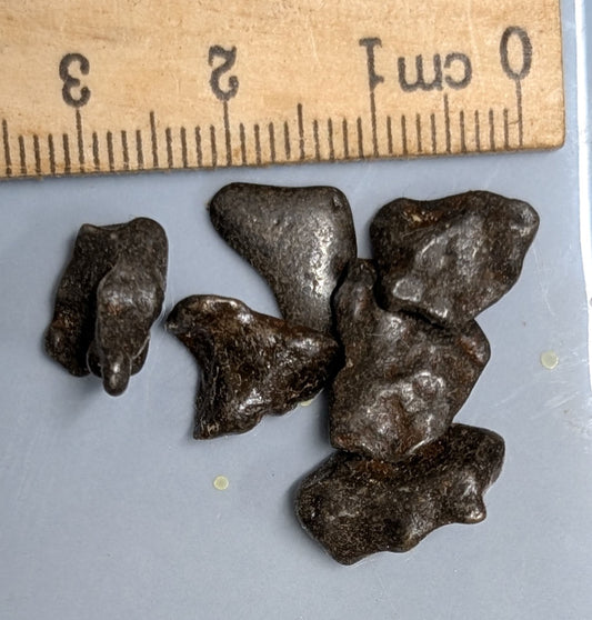 10 Grams Lot AGOUDAL Imilchill IIAB Iron Meteorite found im Atlas Mountains