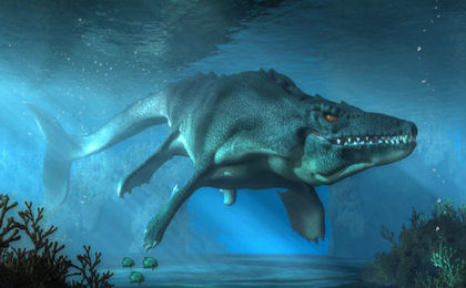MOSASAUR TEETH