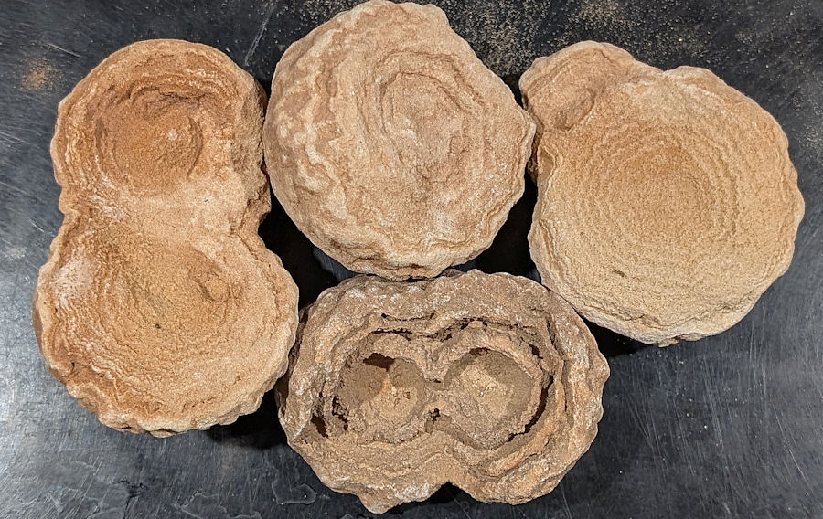 STROMATOLITE – World’s oldest Fossil